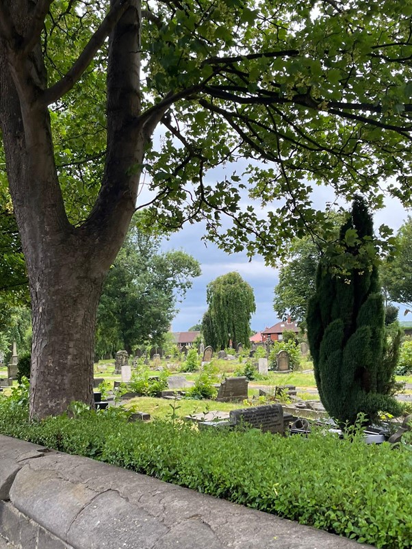 A photo of a graveyard with a stone wall and large tree in full leaf on the left.