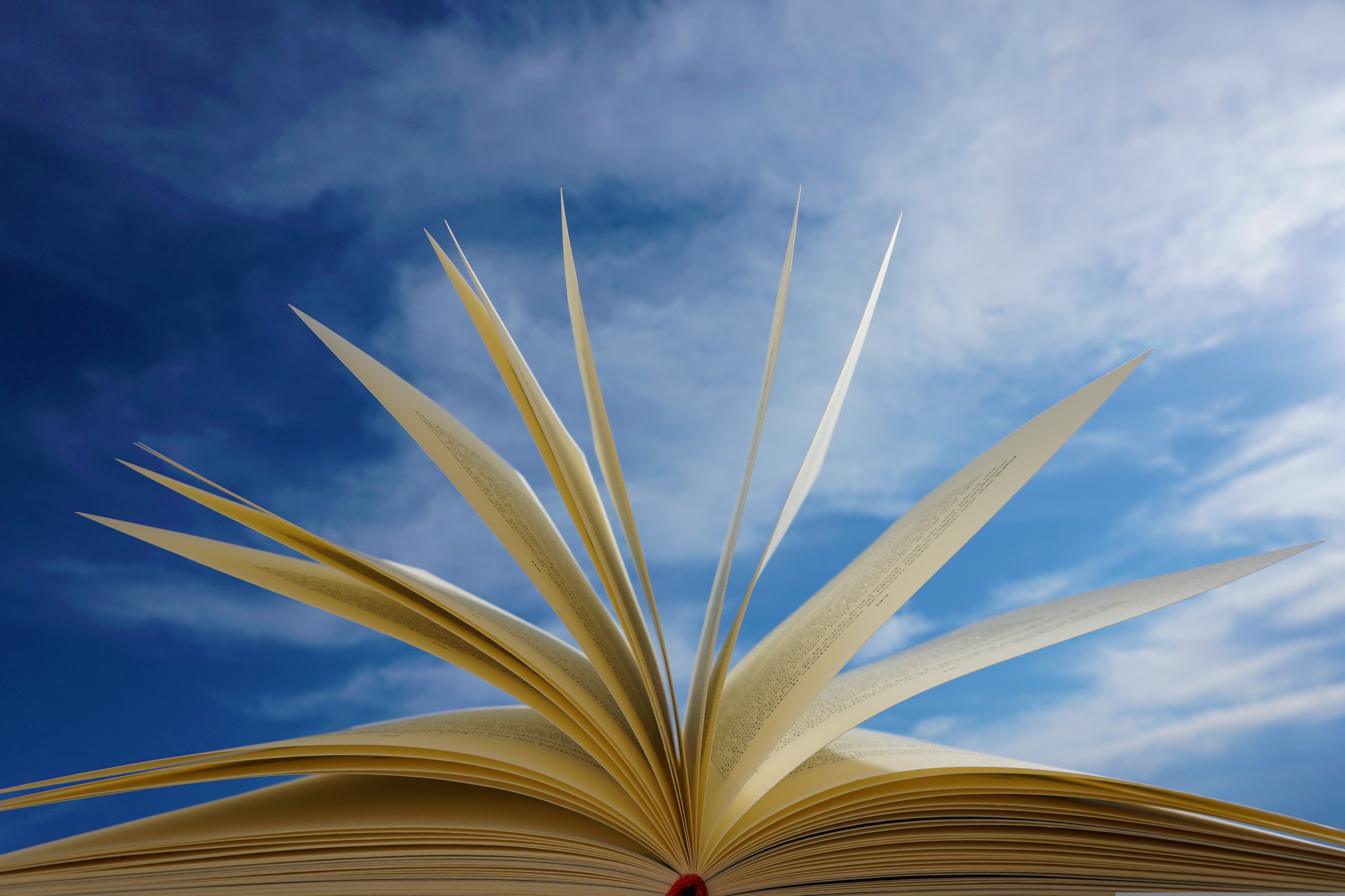 An open book with pages fluttering against a blue sky background.