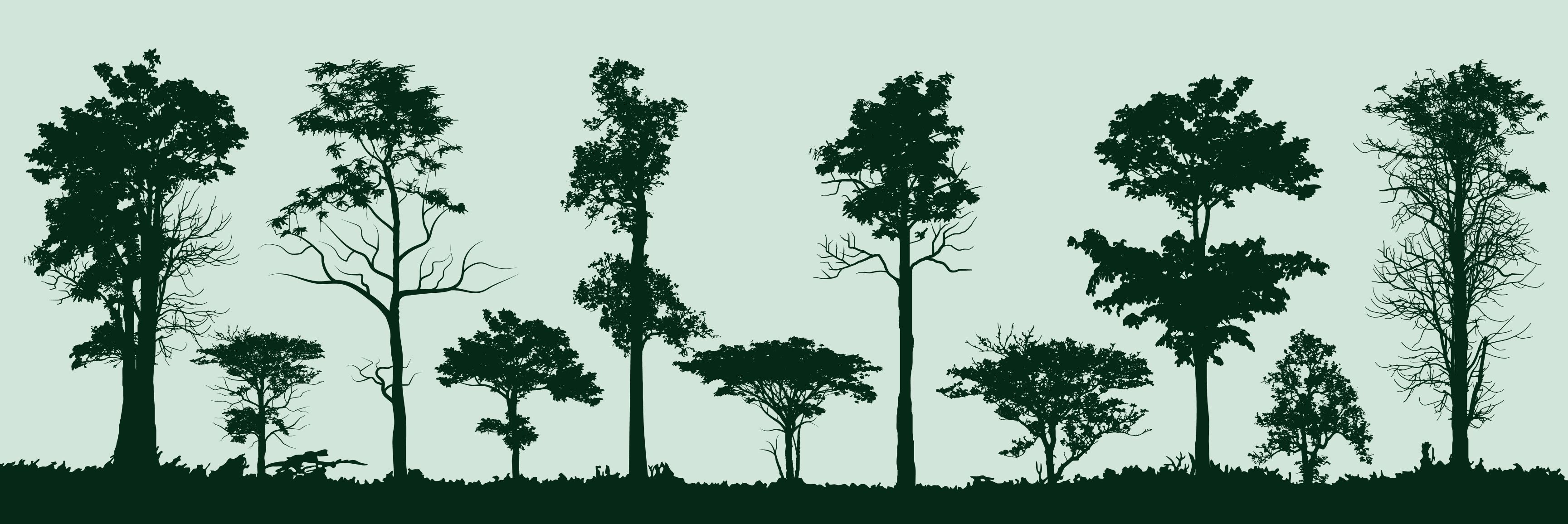 A drawing of a row of trees of varying heights.