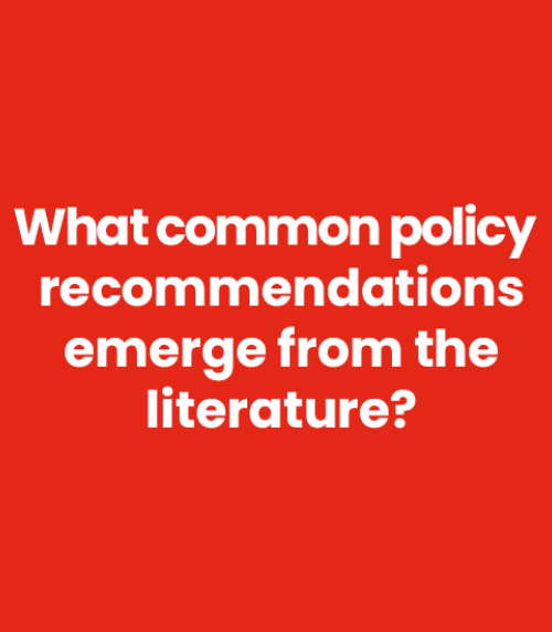 What common policy recommendations emerge from literature?